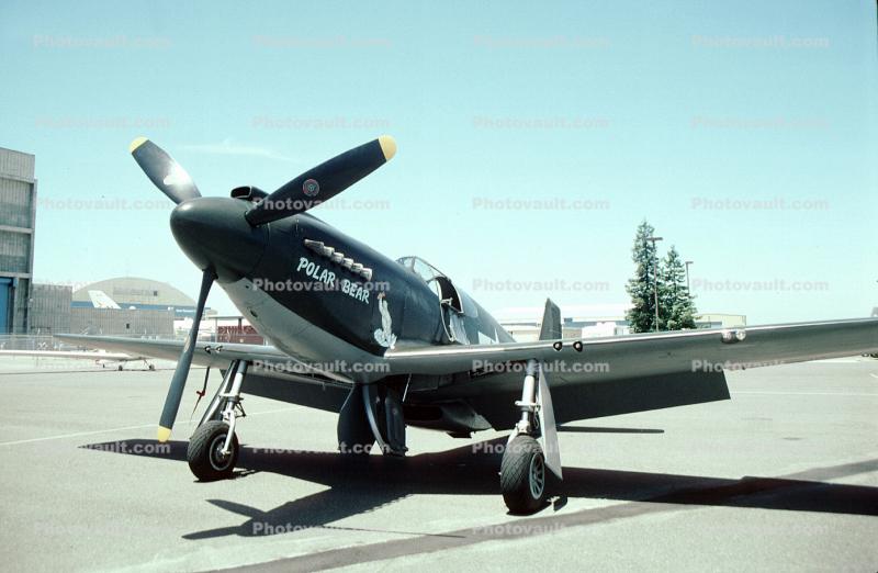 North American P-51A Mustang, P-51A-1NA Polar Bear
