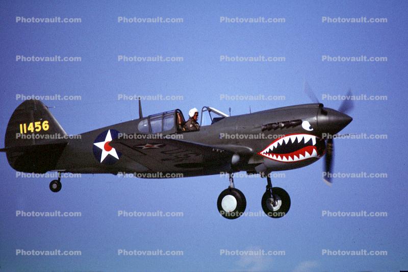 11456, Curtiss P-40 Warhawk