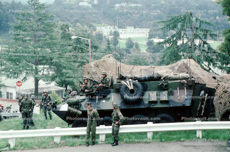 LAV-25, Wheeled Tanks, canon, Operation Kernel Blitz, urban warfare training, Light Armored Vehicle, eight-wheeled amphibious reconnaissance vehicle