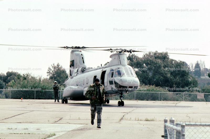 Operation Kernel Blitz, Boeing CH-46 Sea Knight, urban warfare training