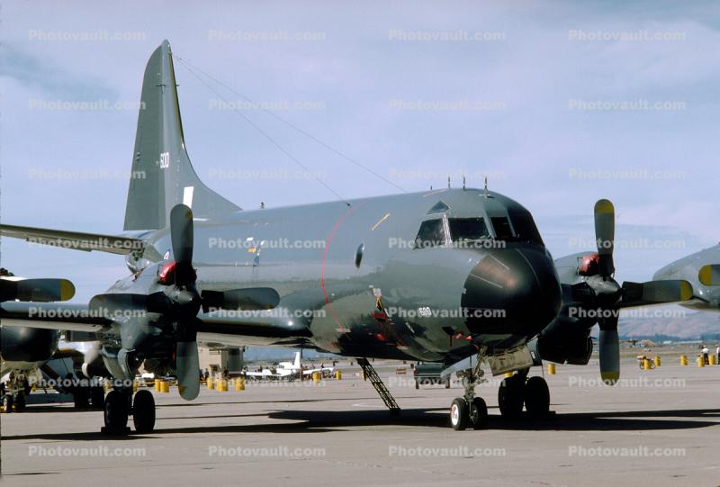 600, Lockheed, P-3 Orion, USN, United States Navy, 7 June 1981