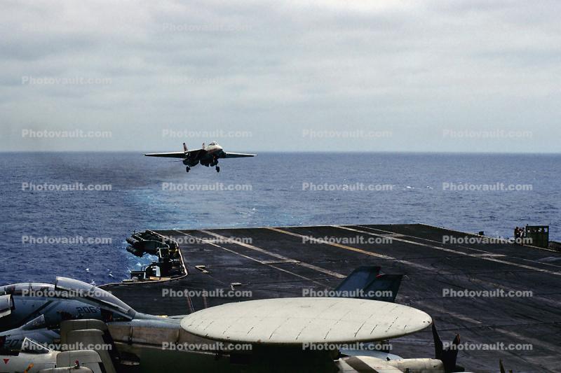 Tomcat on Final, fantail, 100