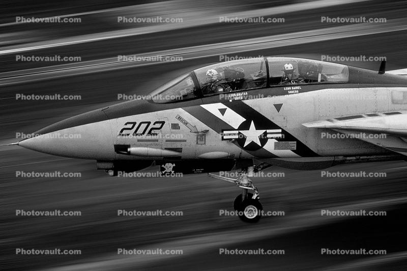 Grumman F-14 Tomcat 202
