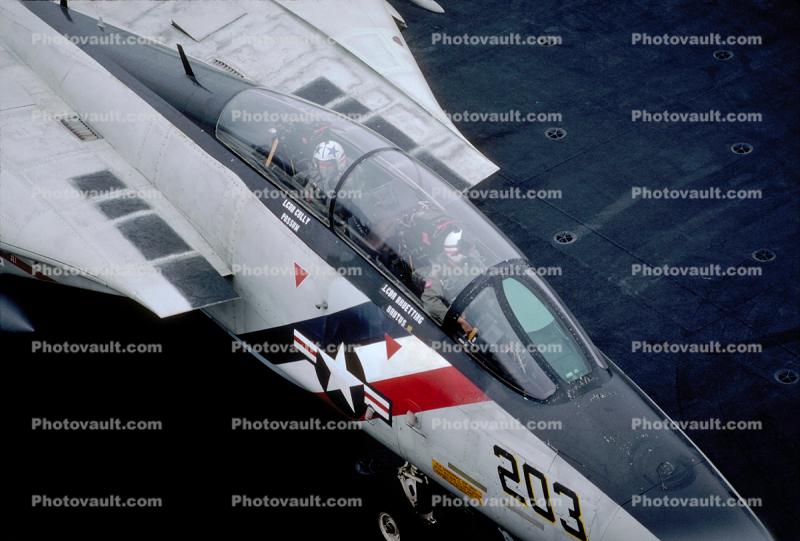 Grumman F-14 Tomcat 203