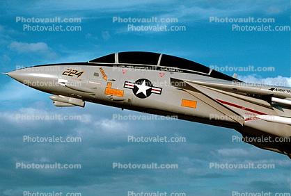 Grumman F-14 Tomcat, USN, United States Navy