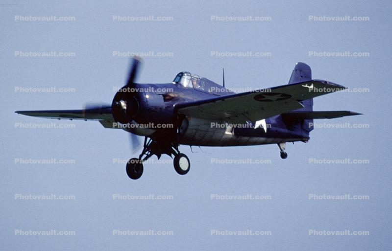 Grumman F4F Wildcat, World War-II, WW2, WWII