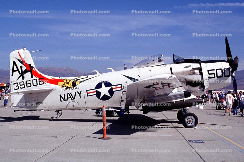 Douglas A-1 Skyraider, Salinas, California