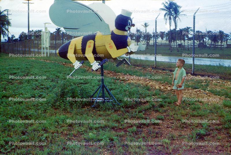 SeaBees, Sea Bees, Fighting CB's, Construction Battalion, Flying Bumblebee, Wing, USN, United States Navy, 1954, 1950s