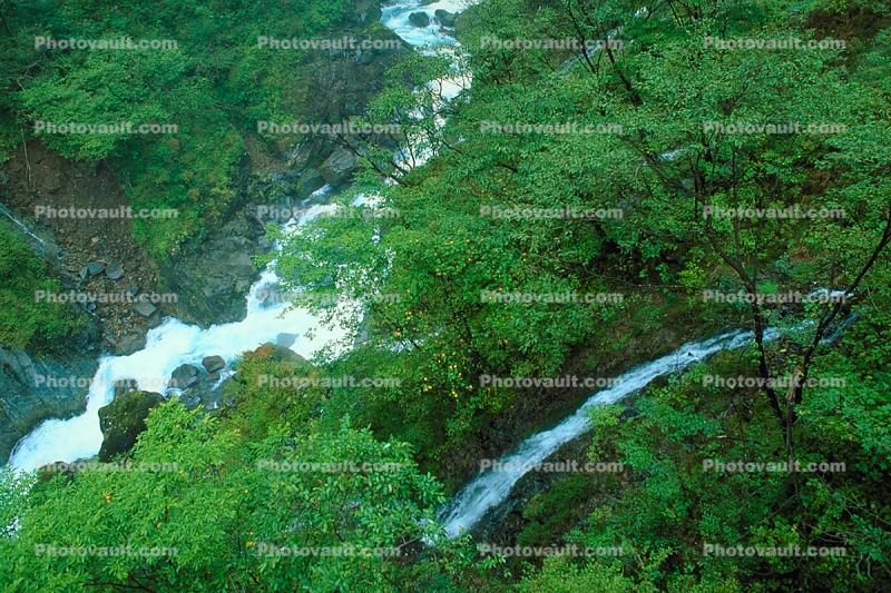 Kegon Falls, Kegonnotaki, Trees, Waterfall, Nikko