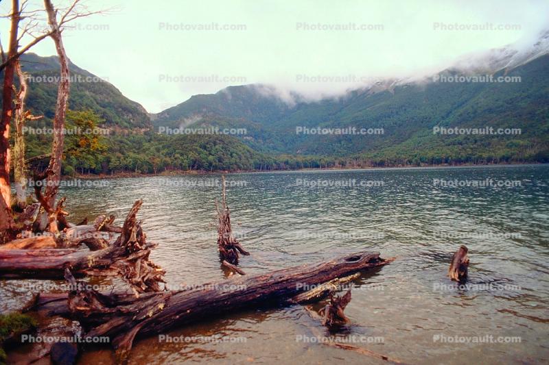 Lake, Fallen Trees, Forest, Mountains, water