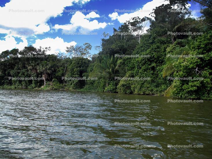 Madre de Dios River, Puerto Maldonado, Peru
