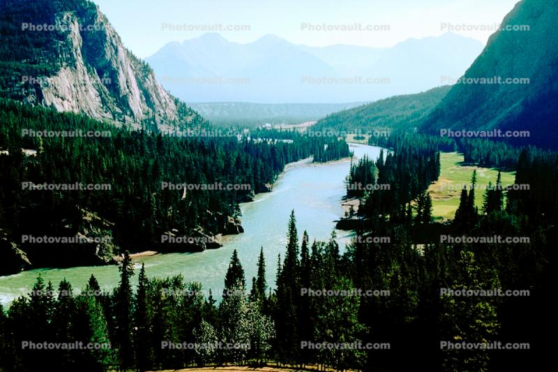 River, Forest, Mountains