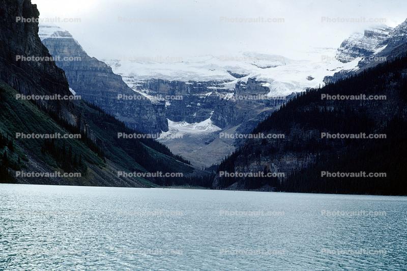 Lake, Water, Snow, Glaciers, Waterfowl Lake