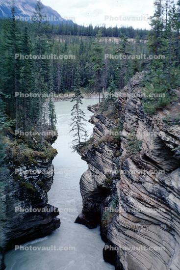 Athabasca River, Stream, Rocks, Water, Trees