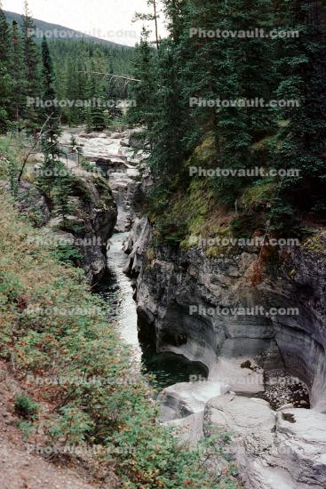 Maligne Canyon, creek, river, rapids, rock, trees, forest, waterfall