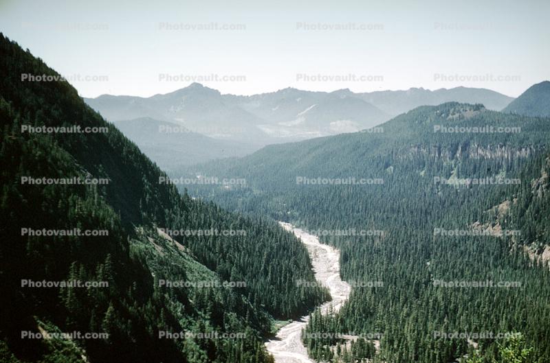Forest, Valley, River