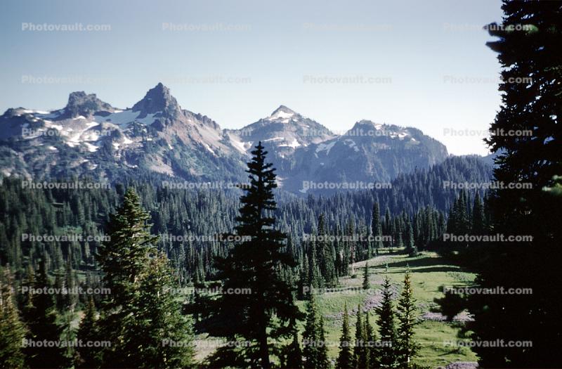 Mountains, Trees, Woodlands, Peaks, Forest