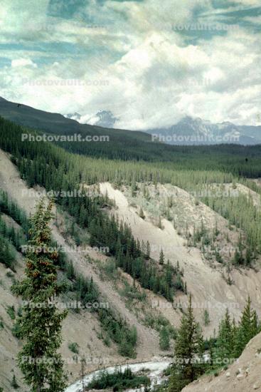 Mountains, Valley, River, forest, near Mount Edith Cavell