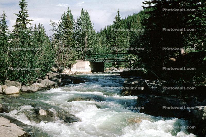 River, Rapids, Footbridge, woodland, water, Athabasca River, whitewater, rapids, turbulent, Falls