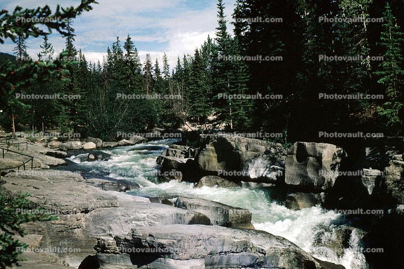 River, Rapids, Footbridge, woodland, trees, vibrant water, Athabasca River, whitewater, rapids, turbulent, Falls