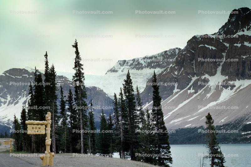 Bow Lake, Mountains, trees, water