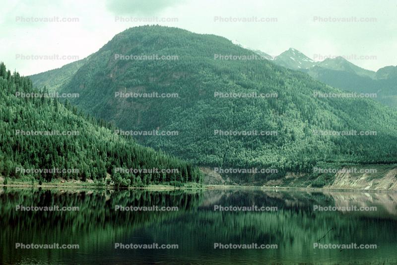 reflection, lake, forest, mountains, water
