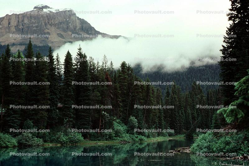 Forest, Lake, Mountains, water