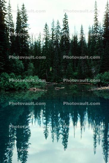 reflection, lake, water