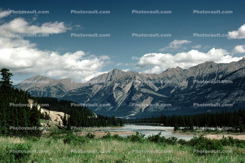 forest, mountains, lake, river, trees, water