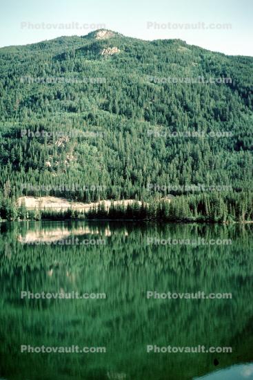 forest, mountains, lake, reflection, trees, water