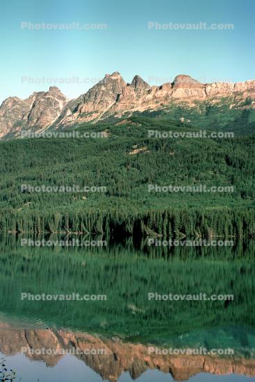 forest, mountains, lake, reflection, water