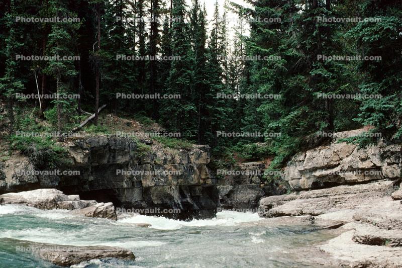 whitewater, river, trees, woodland, forest, rapids, turbulent