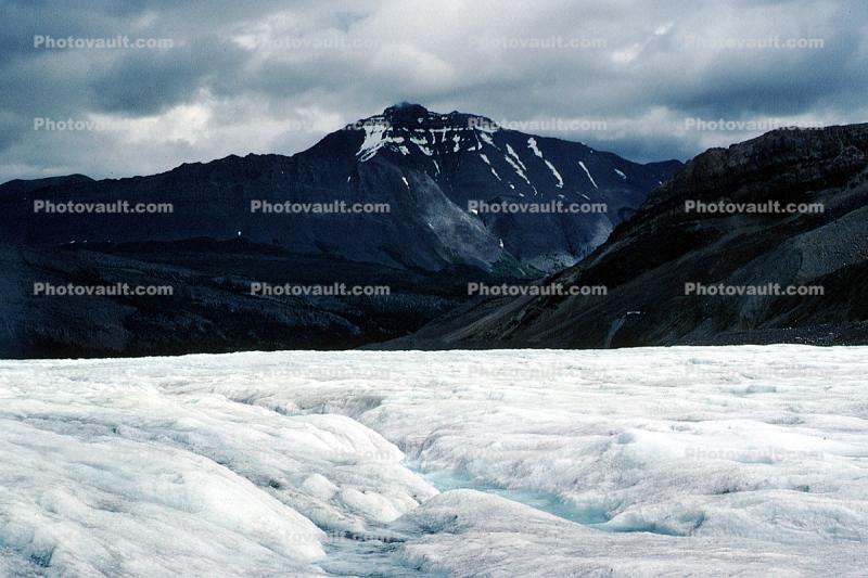 Columbia Glacier, Ice Fields