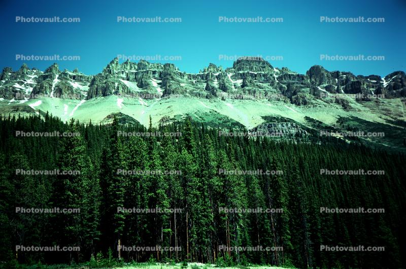 Mountain Range, Trees, woodland
