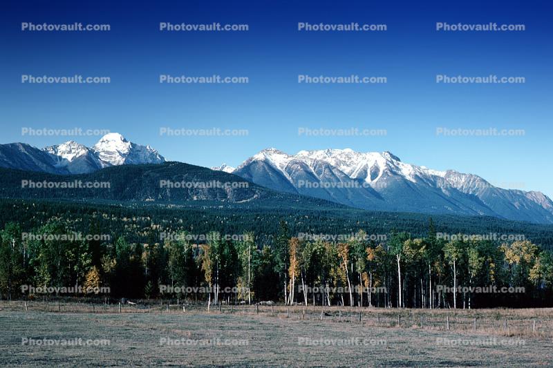 mountains, trees, Selkirk Mountain, British Columbia