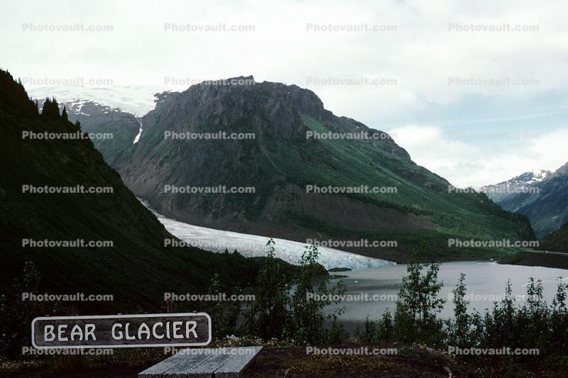 Bear Glacier, July 1993