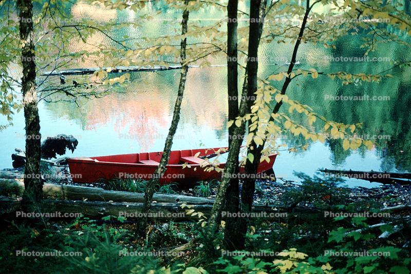 Rowboat, Lake, Woodlands, water