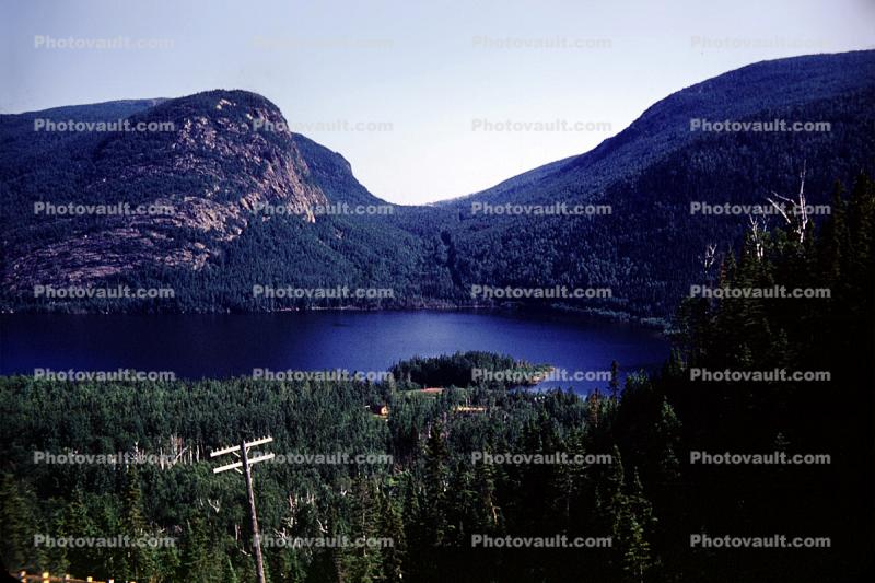 Forest, Mountains, Lake, River, Valley, water