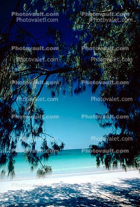 Tropical Island, Beach, Clouds, Sand, Tree Shadow