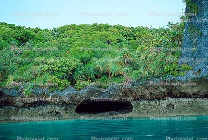 Tropical Island, Coral Reef