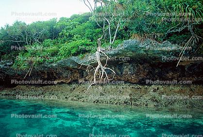 Tropical Island, Coral Reef