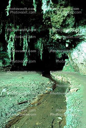 Rain Forest, Stream, babbeling brook, Stalagtites, Cave Entrance