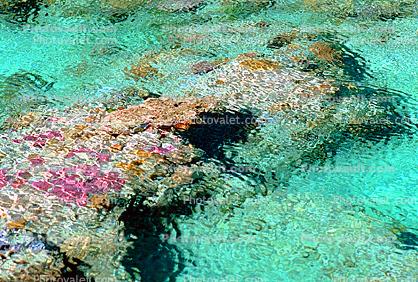 Island, Coral Reef