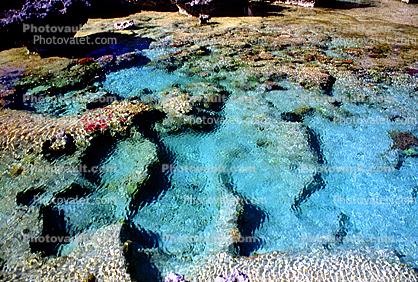 Coral Reef, Pacific Ocean, azure water ripples, Wavelets