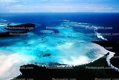 Coral, Island, Forest, Trees, Barrier Reef, Pacific Ocean, shore, shoreline, coast