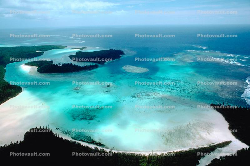 Coral, Island, Forest, Trees, Barrier Reef, Pacific Ocean, shore, shoreline, coast, Seascape