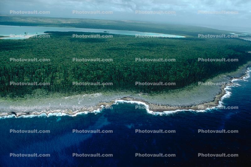 Coral, Island, Forest, Trees, Pacific Ocean, shore, shoreline, coast