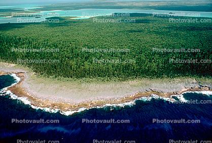 Coral, Island, Forest, Trees, Pacific Ocean, shore, shoreline, coast