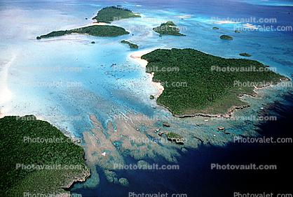 Barrier Reef, Coral, Island, Forest, Trees, Pacific Ocean, shore, shoreline, coast