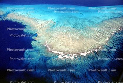Barrier Reef, Coral, Island, Forest, Trees, Pacific Ocean